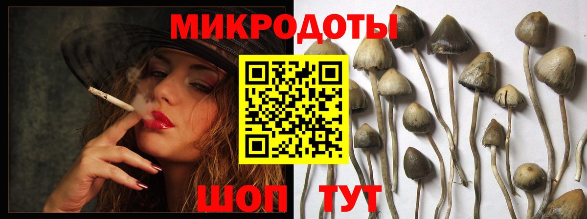 Бутурлиновка  Галлюциногенные грибы ЛСД  Вход с VPN 