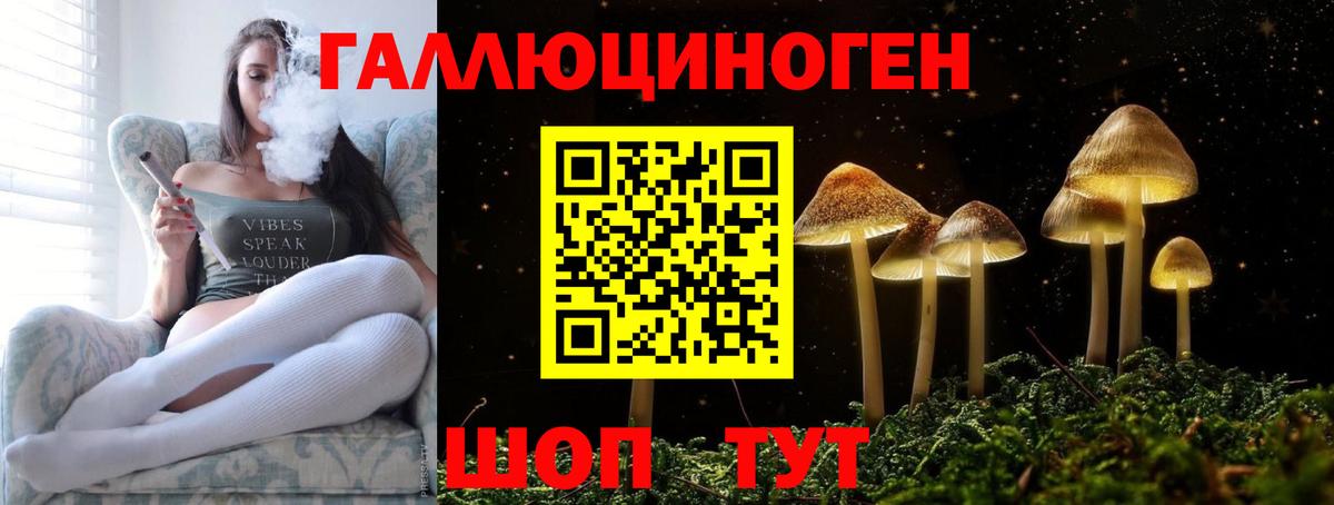 Псилоцибиновые грибы Psilocybe Бутурлиновка
